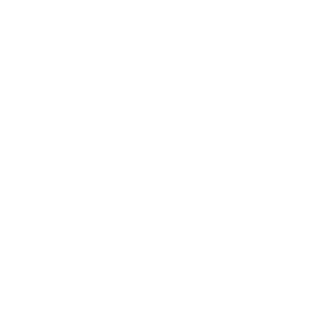 REAL PARTNER